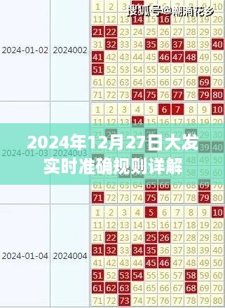 2024年大发实时准确规则深度解析