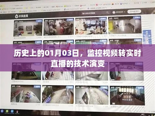 juanniaosigui 第4页