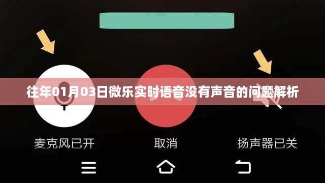微乐实时语音无声问题解析，解决日期为往年一月三日