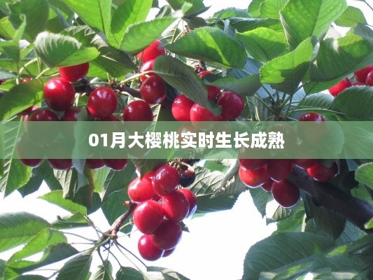 admin 第4页
