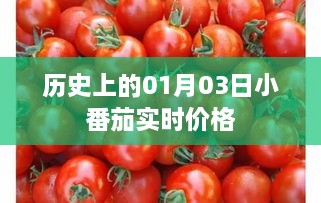 zhangdengguacai 第4页