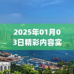 实时更新精彩内容的软件，尽在2025年1月3日