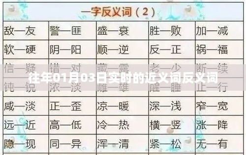 实时近义词反义词解析及用法示例
