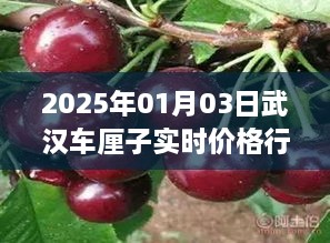 feilaihenghuo 第3页