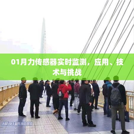 candanjingying 第3页