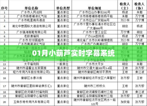 实时字幕系统小葫芦一月更新解读