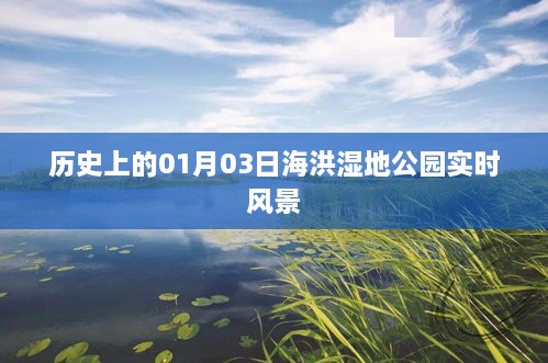 qingtianbairi 第3页