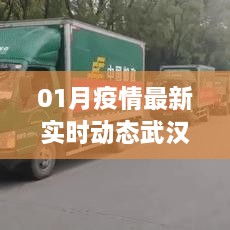 武汉最新疫情实时动态更新