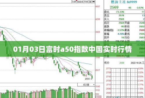 longmajingshen 第3页