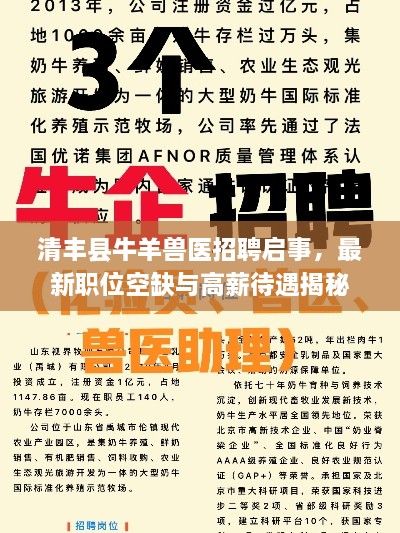 zhanchiyufei 第3页
