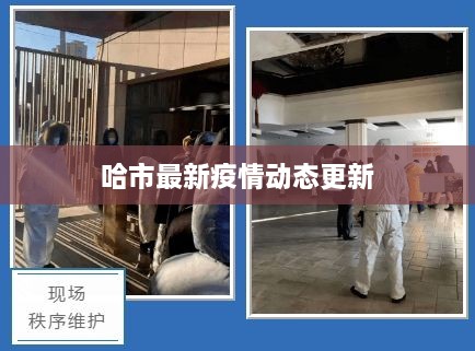 fanlaizhangkou 第3页