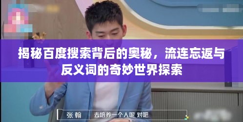 揭秘百度搜索背后的奥秘，流连忘返与反义词的奇妙世界探索