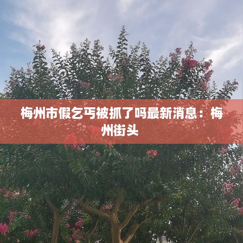 尽心尽力 第2页
