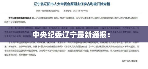 中央纪委辽宁最新通报： 