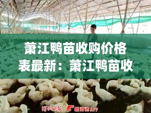 富贵有余 第2页