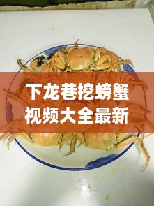 一花独放 第2页