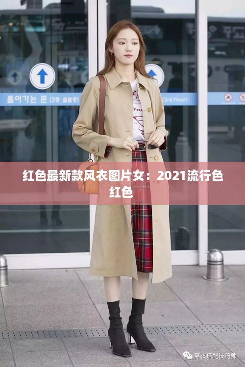 无影无踪 第3页