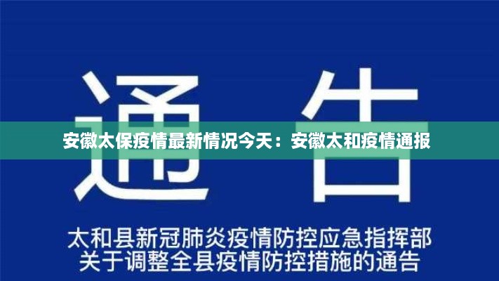 小鸟伊人 第3页