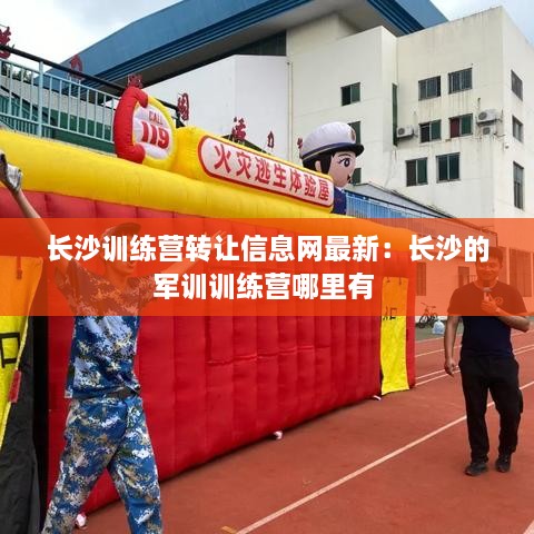 笔走如飞 第3页