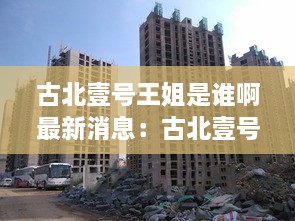 飞燕化龙 第2页