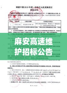大张挞伐 第2页