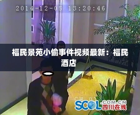 福民景苑小偷事件视频最新：福民酒店 