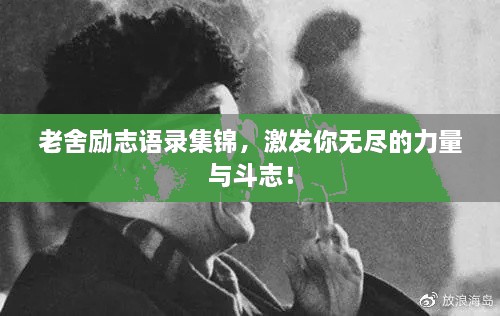 蚁出蚋飞 第2页