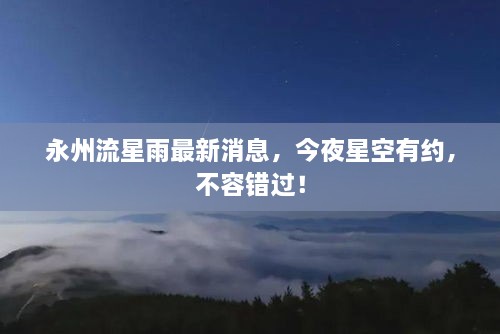 夯雀儿先飞 第2页