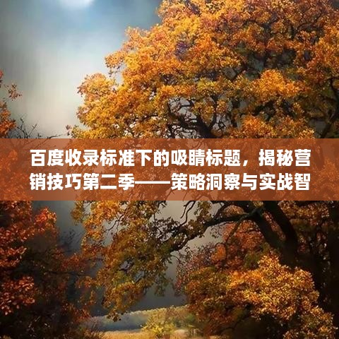 fuguironghua 第2页