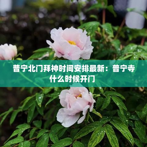 鸡飞狗跳 第2页