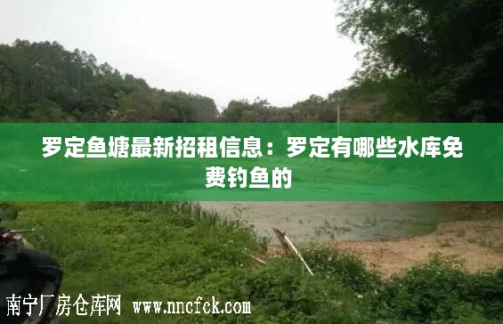 罗定鱼塘最新招租信息：罗定有哪些水库免费钓鱼的 