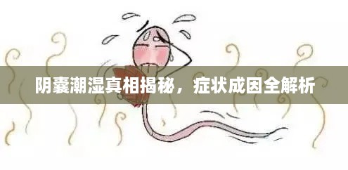 择善而从 第2页