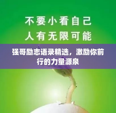 wangqixiangbei 第2页