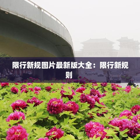 限行新规图片最新版大全：限行新规则 