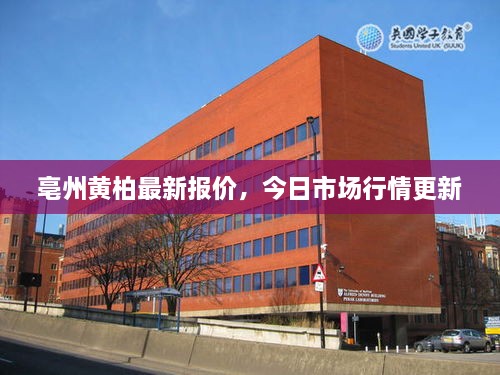 丰容盛鬋 第2页