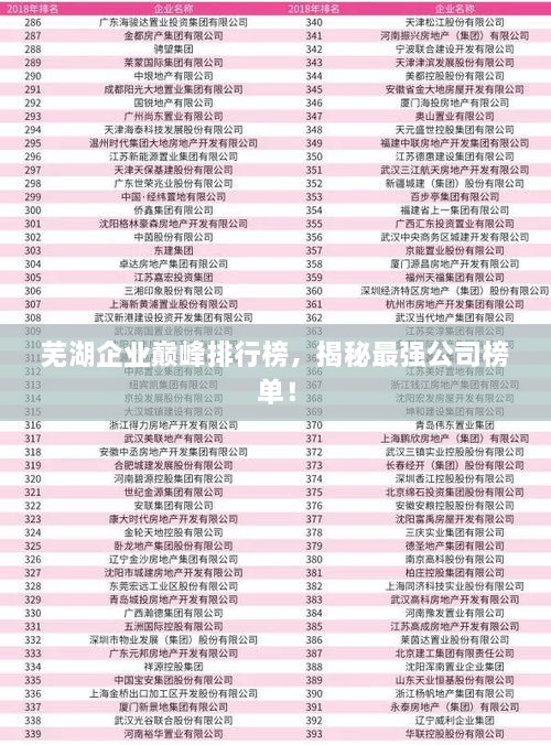 芜湖企业巅峰排行榜，揭秘最强公司榜单！