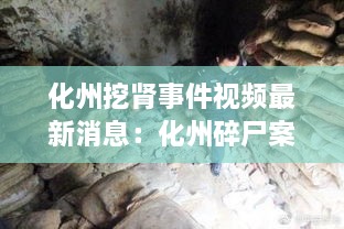 采椽不斫 第2页
