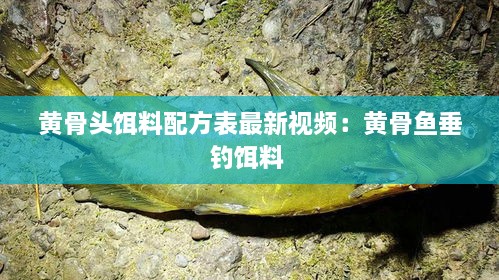 黄骨头饵料配方表最新视频：黄骨鱼垂钓饵料 