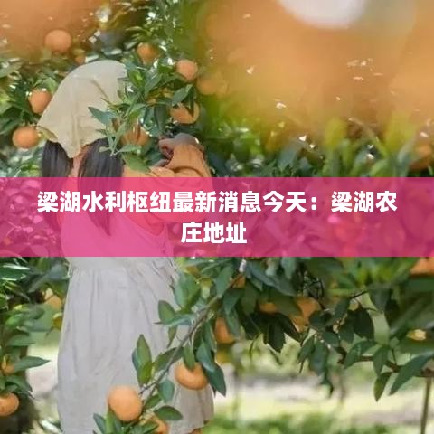 梁湖水利枢纽最新消息今天：梁湖农庄地址 