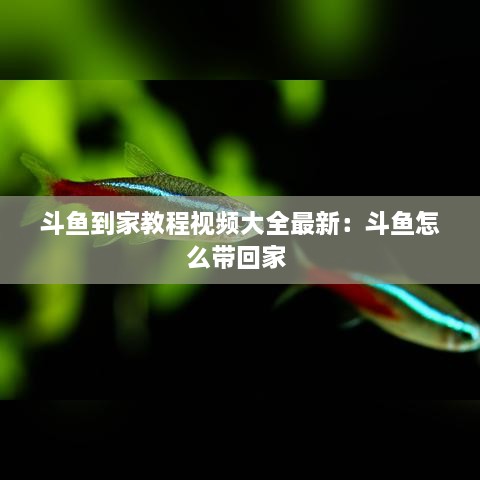 liaoshirushen 第2页