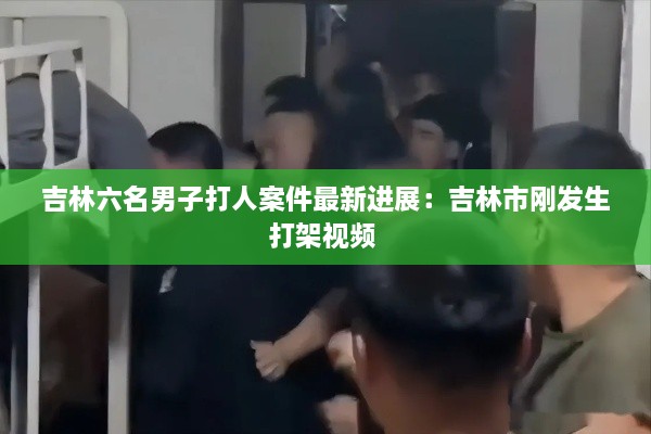 吉林六名男子打人案件最新进展：吉林市刚发生打架视频 
