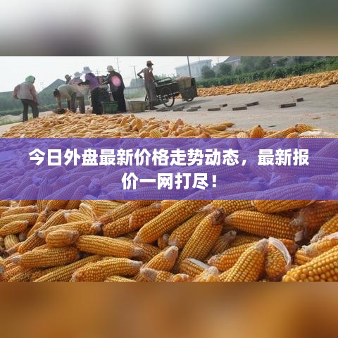 天罗地网 第2页