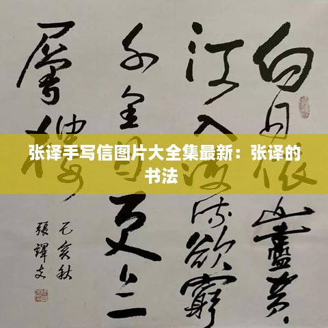 张译手写信图片大全集最新：张译的书法 