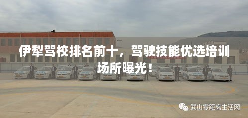 驾轻就熟 第2页