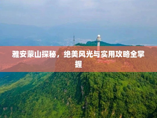 自作主张 第2页