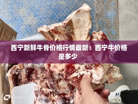西宁新鲜牛骨价格行情最新：西宁牛价格是多少 