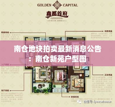 南仓地块拍卖最新消息公告：南仓新苑户型图 