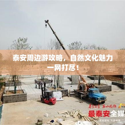 放浪形骸 第2页