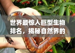 尽心竭力 第2页