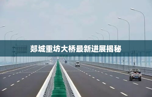 郯城重坊大桥最新进展揭秘